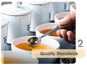 4 Pillars of Our impact 2