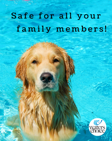 pet friendly non toxic safe enzymes swimming pool chlorine shock 