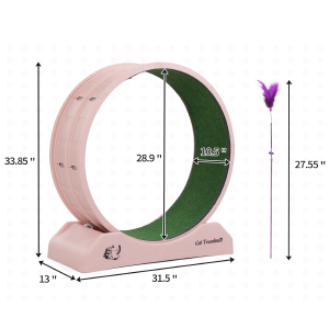 31.5" Large Cat Treadmill, Cat Exercise ... 14 c68f50dd 3fa5 4aa2 90bd 40ed0472f712. CR0,0,300,300 PT0 SX300 V1