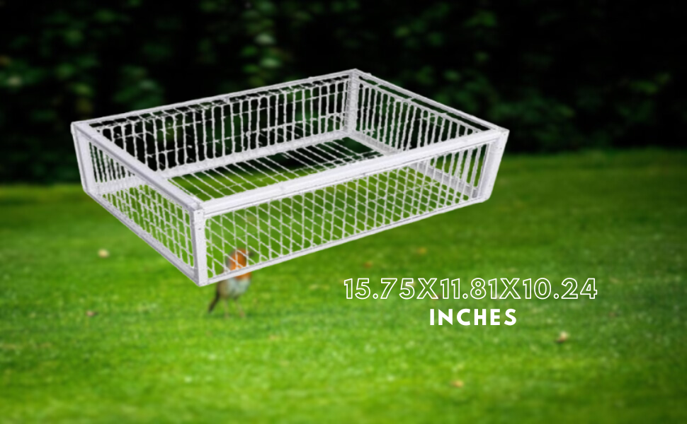 aplus content image