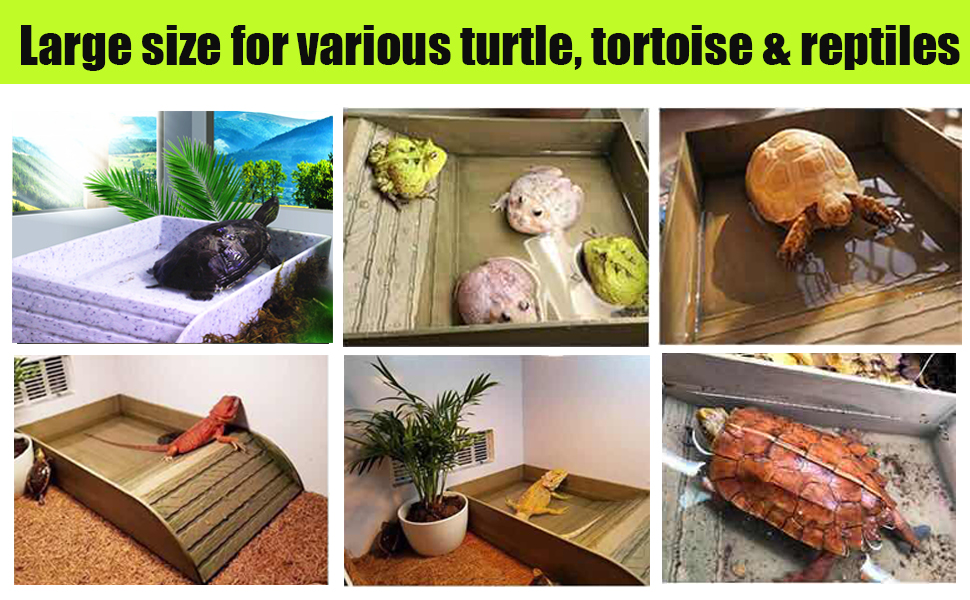 3pcs Tortoise Food Dish with Ramp and Basking Platform