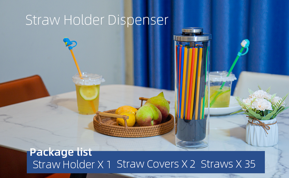Straw Holder Dispenser for Counter Clear Glass Drinking