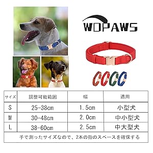 Amazon | WDPAWS 犬 首輪 ベーシック 犬首輪 PU革製 おしゃれ