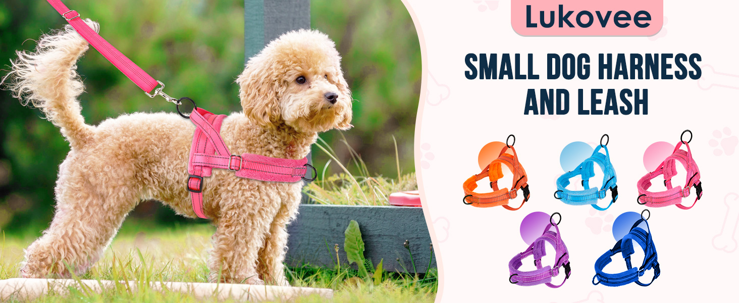 Walking Dog Harness and Leash Set