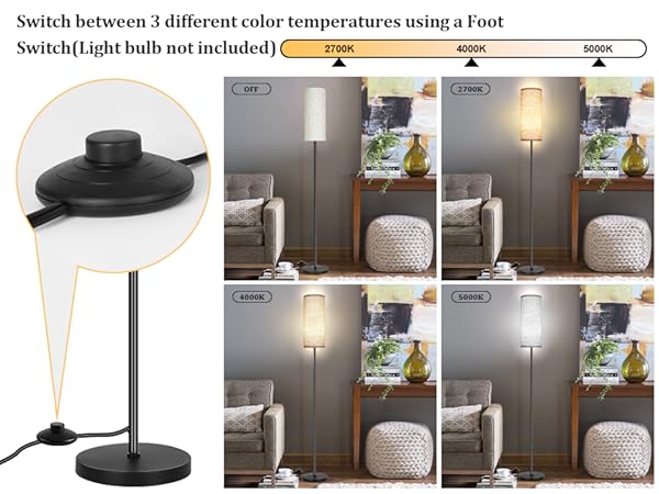 3 CCT floor lamp