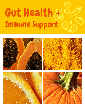 best probiotics for dogs