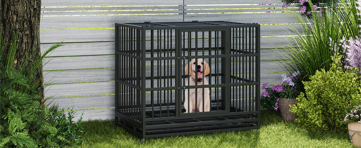 dogcrate