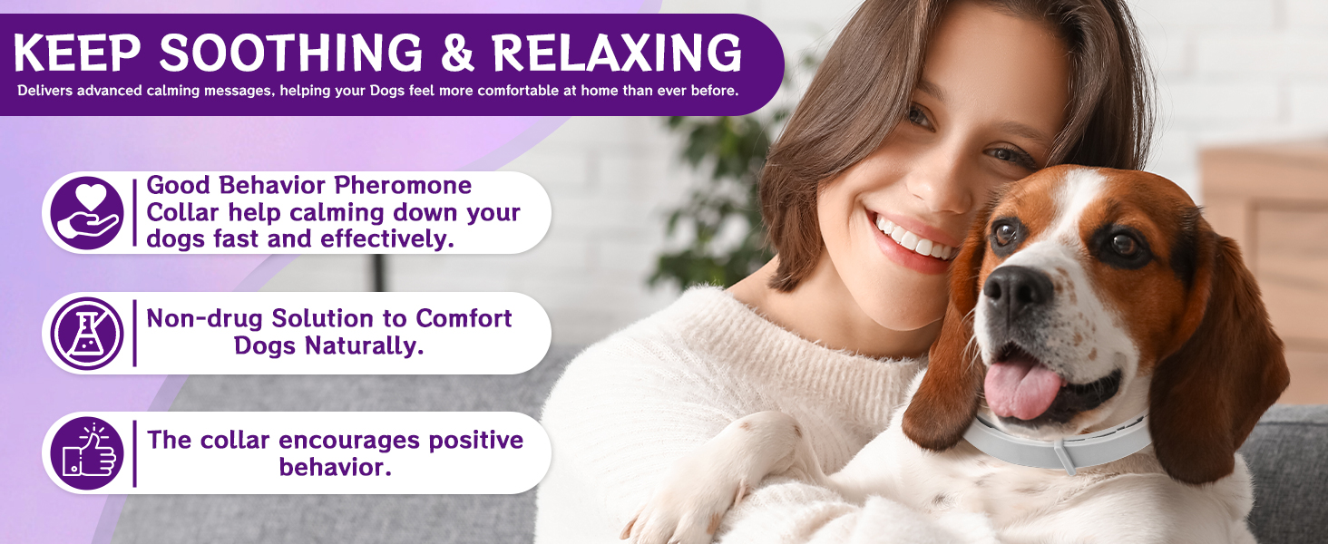 calming collar for dogs