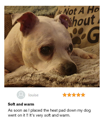 self heating warming cat bed mat cat bed for indoor cats