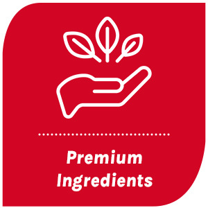 Premium Ingredients