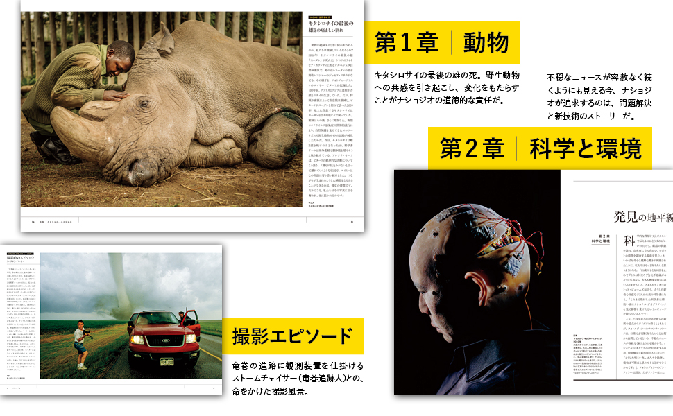 世界写真全集 全12巻揃い 大判写真集 集英社 1982-1984 世界写真全集 全12巻揃 1.ファインアート 2.ポートレート 3