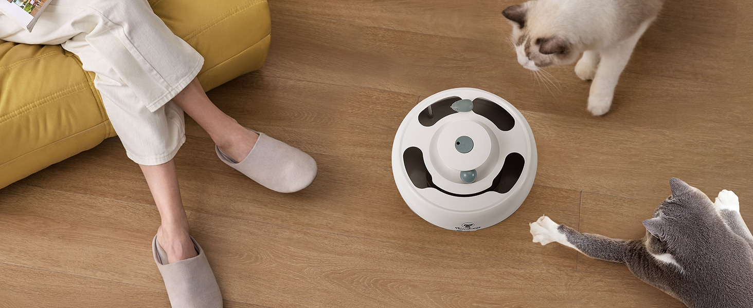 interactive cat toys