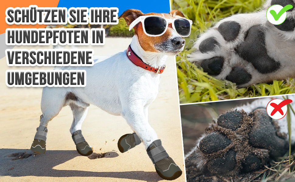 hundeschuhe