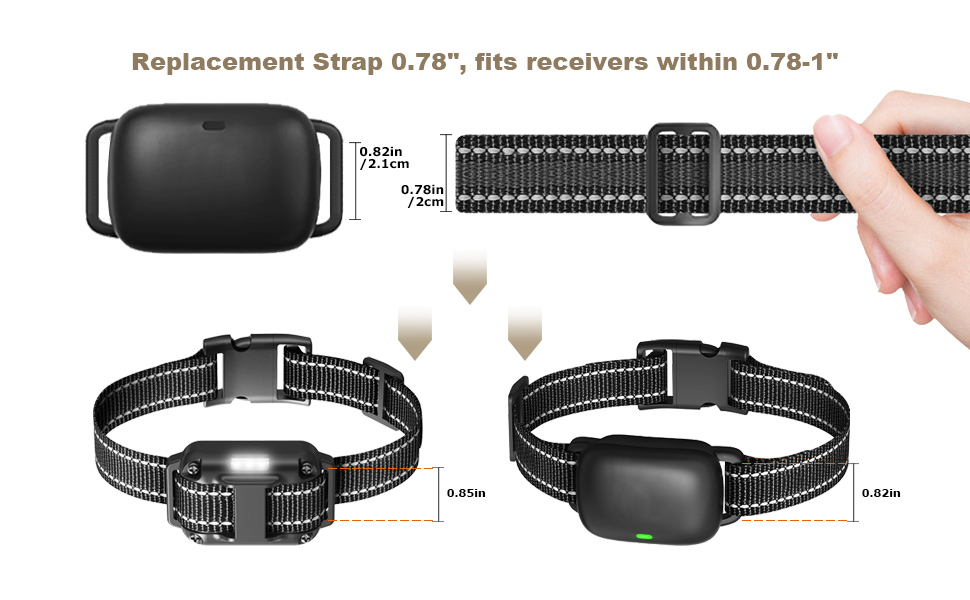 dog collar replacement