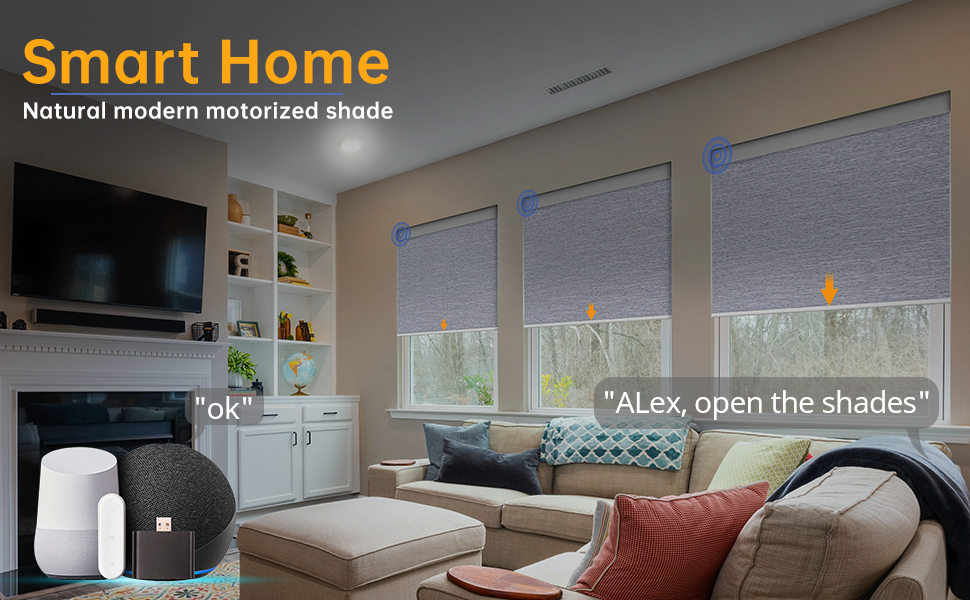 Hapadif Motorized Blinds No Drill Automatic Blinds for