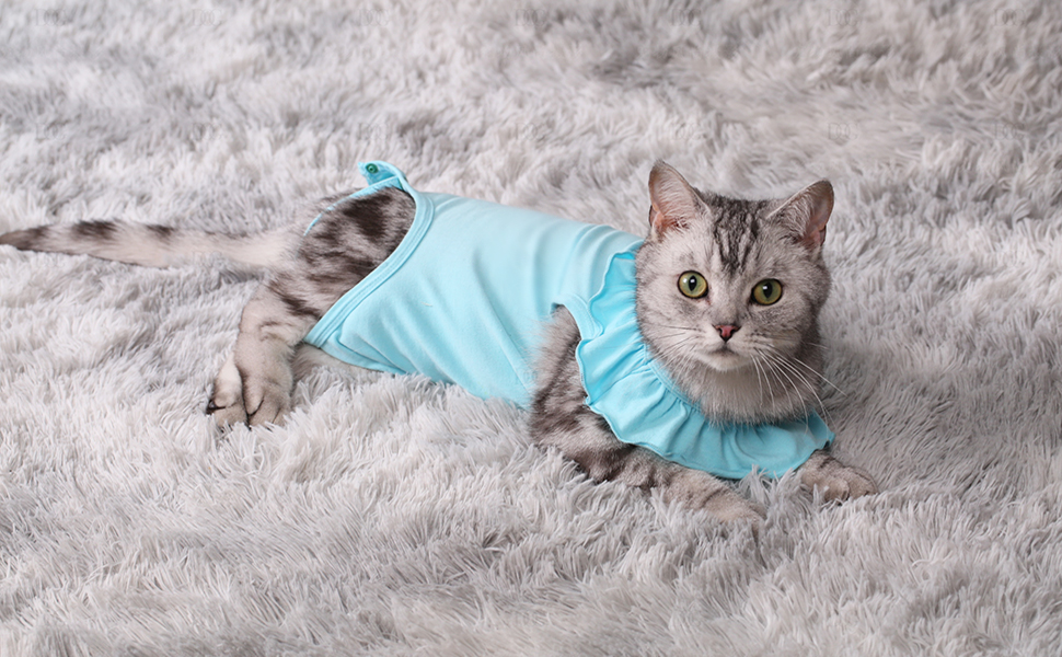cat recovery suit