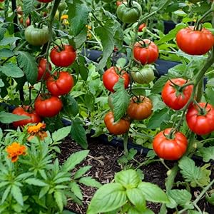 Small manufacture image 2