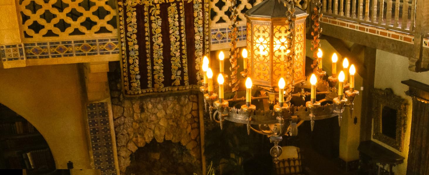 Brtstiun Incandescent Light Bulbs 40W 380 Lumen Dimmable 2500K E12