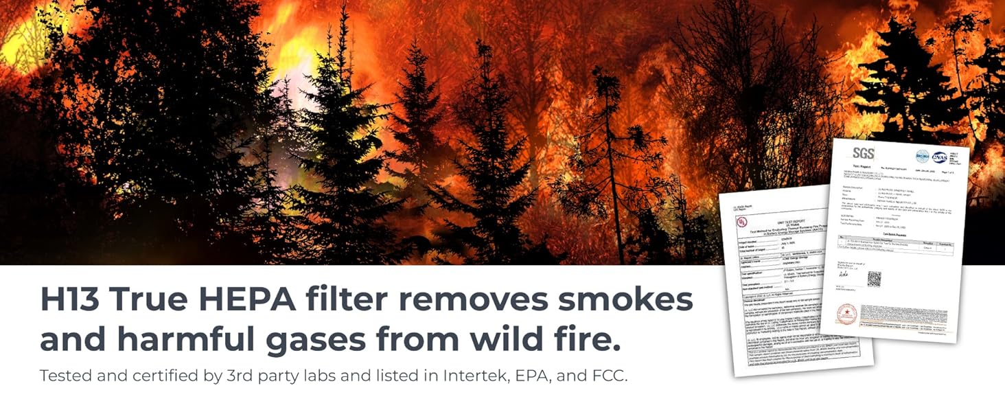 air purifier for wild fire