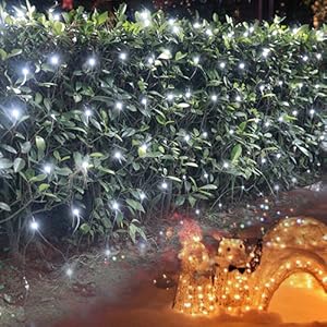 cool white light for yard garden