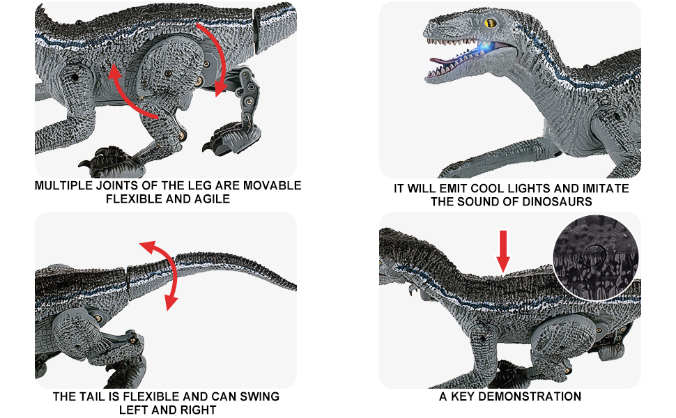 Berry President Remote Control Dinosaur Toys for Kids 6 7 8
