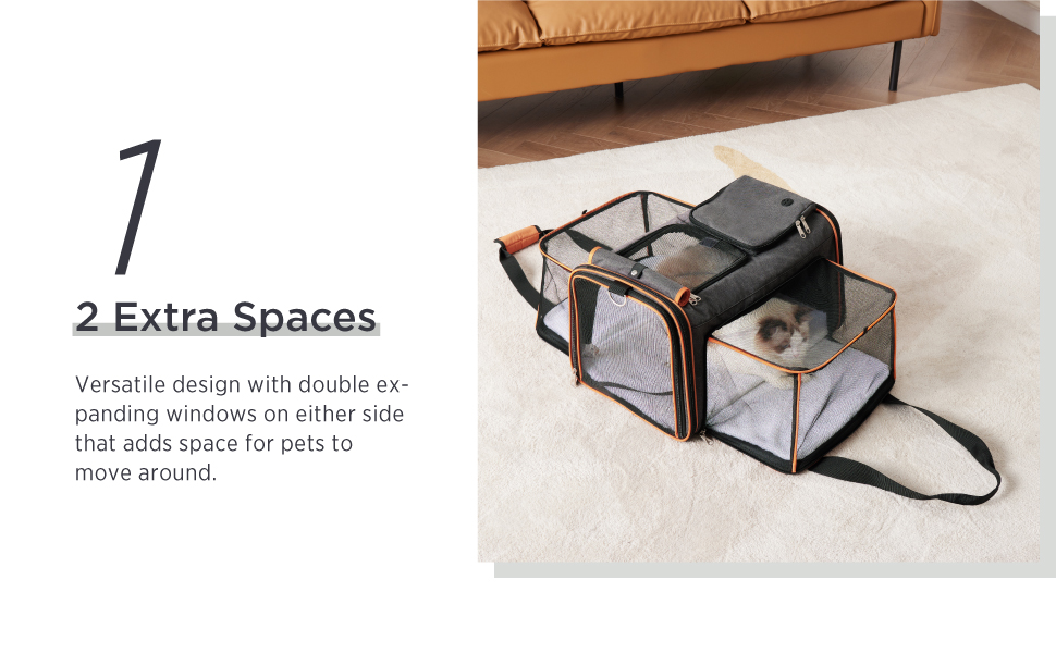 Lesure TSA Airline Approved Pet Carrier Expandable Cat Carrier