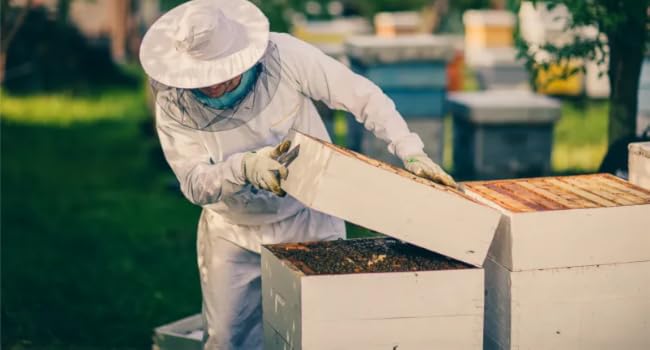 Large manufacture image 3