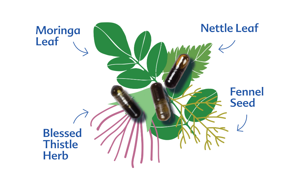 More Milk Moringa ingredients