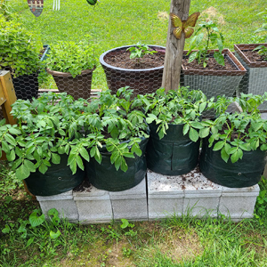 Small manufacture image 1