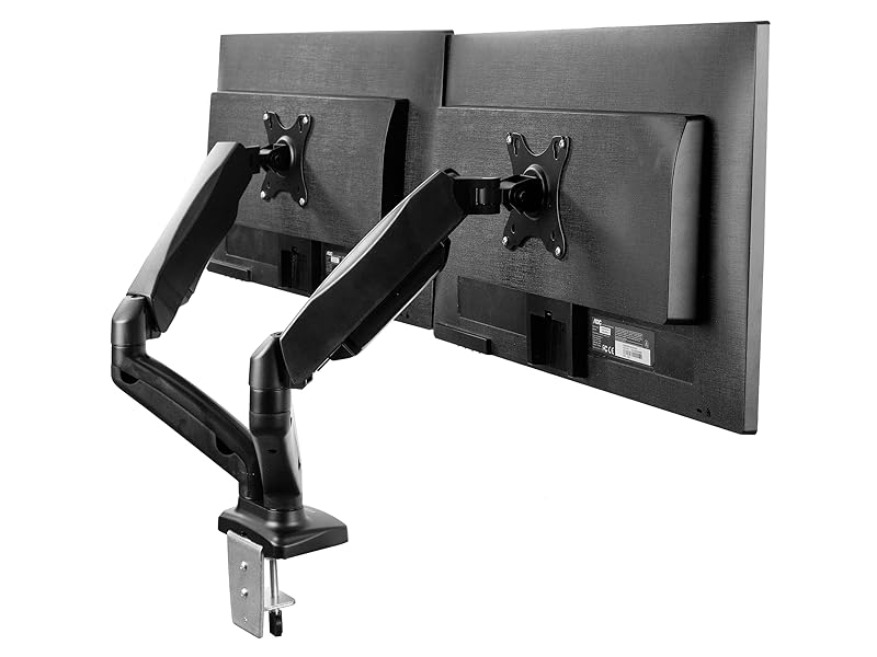 dual pneumatic arm mount