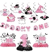 Gameza Spooky One Birthday Decorations Girl, Pink Halloween 1st Birthday Banners Hanging Swirls a...
