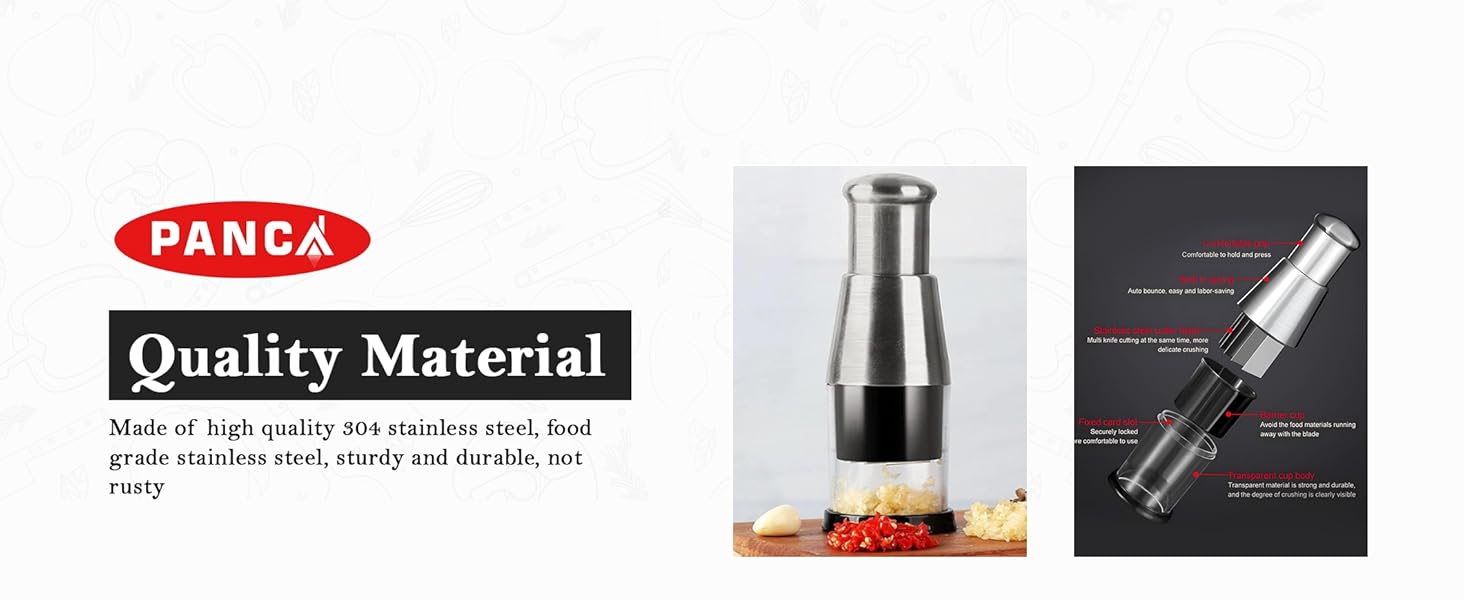 Stainless Steel Garlic Chopper