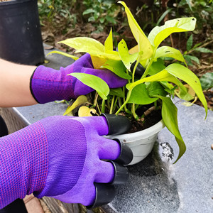 plant flowers