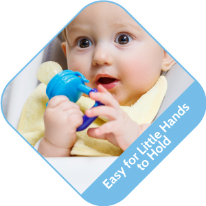 Silicone Baby Fresh Fruit and Food Feeder, Pacifier