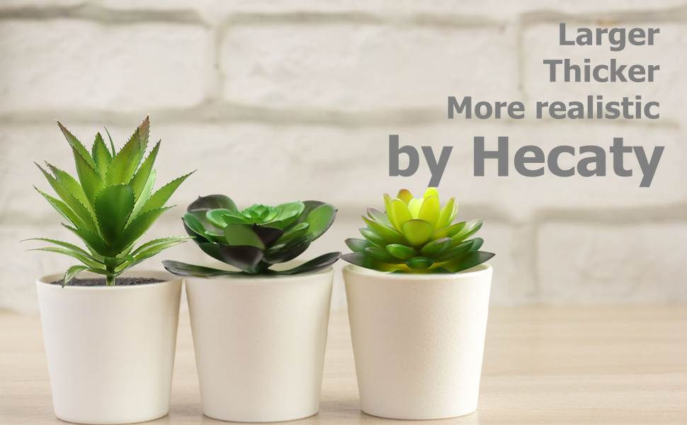 faux succulents