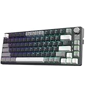 Amazon.com: TECWARE Phantom+ 87 Key Mechanical Gaming