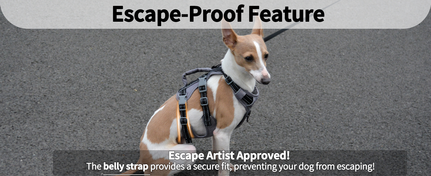 dog harness with handle