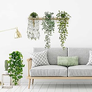 hanging plants