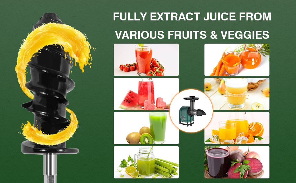 Vegetable Juicers for Celery Wheatgrass Ginger Beets, Fruit