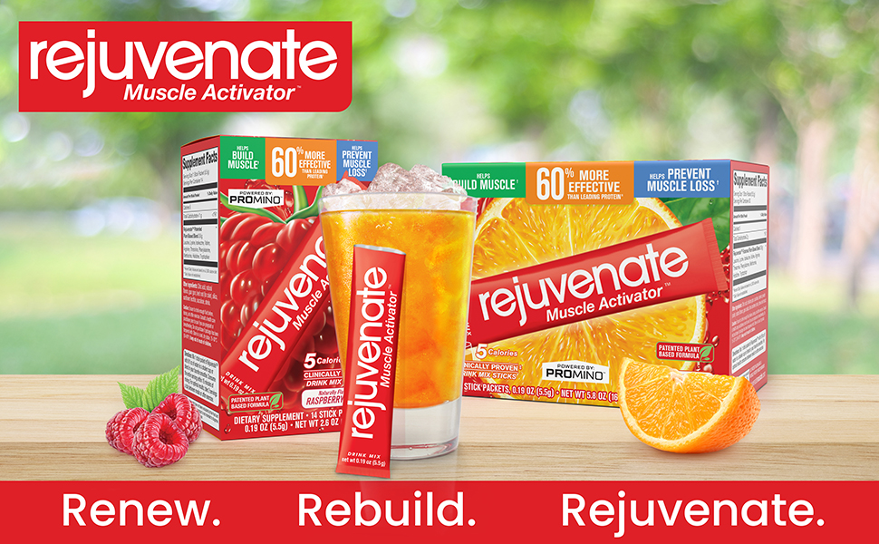 renew rebuild rejuvenate