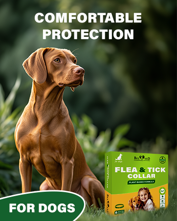 natural flea tick prevenetion for dogs cats control collar drops repellent support large small