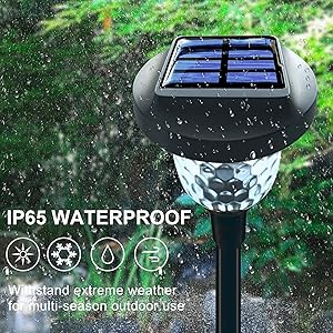 IP65