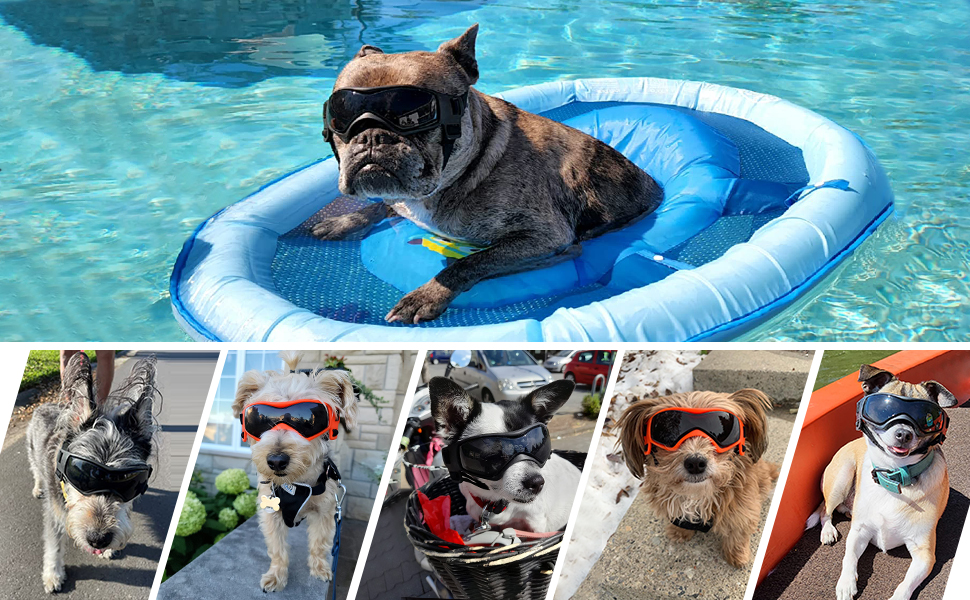 Dog Goggles Medium Breed, Dog Sunglasses Small Breed Dog