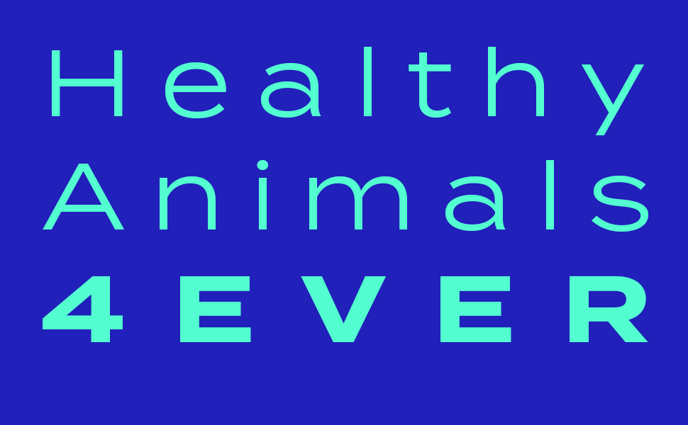 healthy animals 4 ever