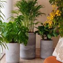 Small manufacture image 10