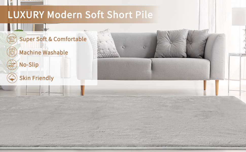 Luxury Modern Soft Short Pile Rugs Living Room