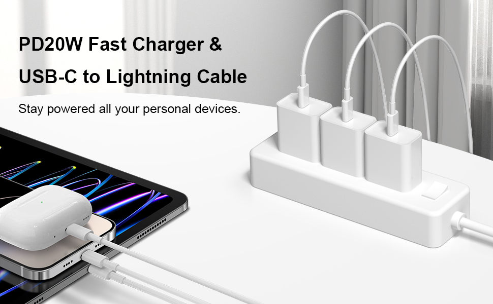 iPhone charger