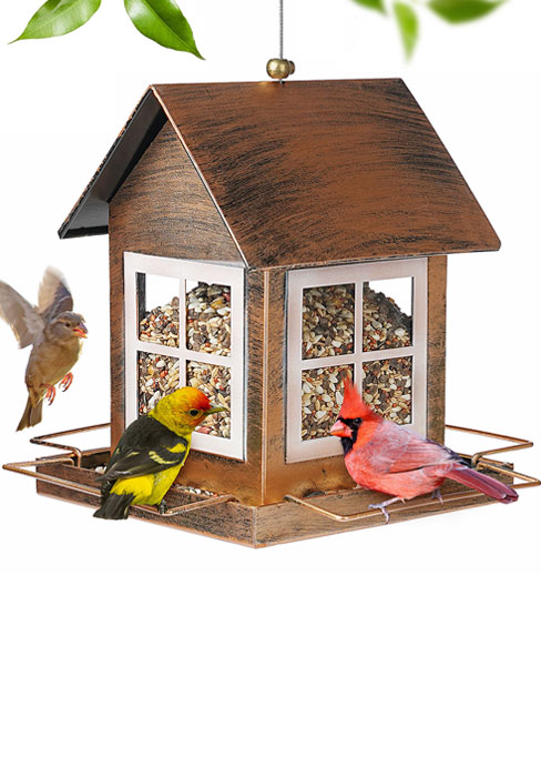 bird feeder