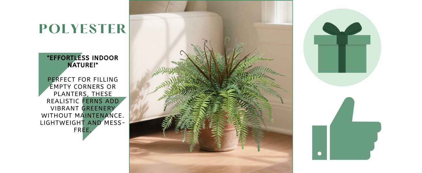floor plant