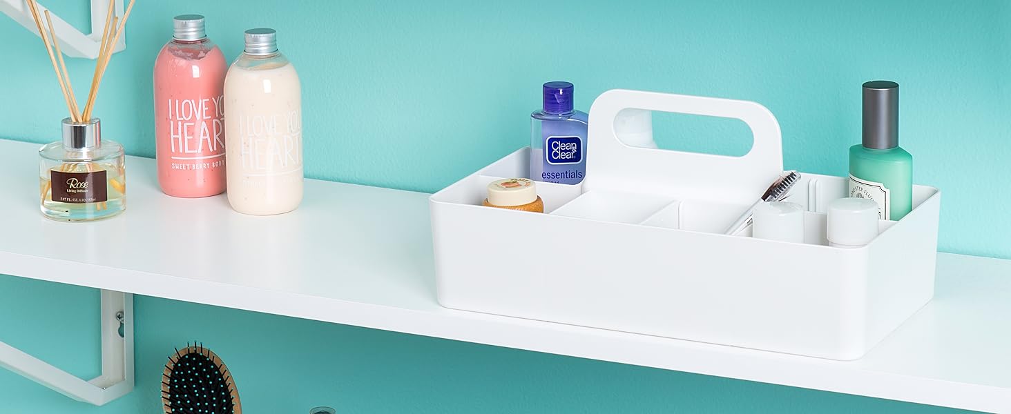 BLUE GINKGO Multipurpose Caddy Organizer Stackable